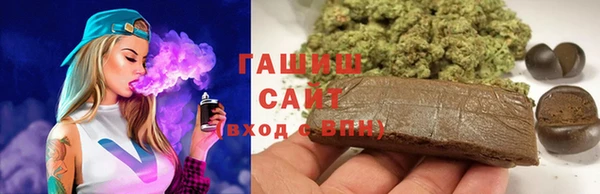 индика Киреевск