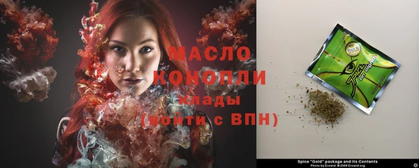 индика Киреевск