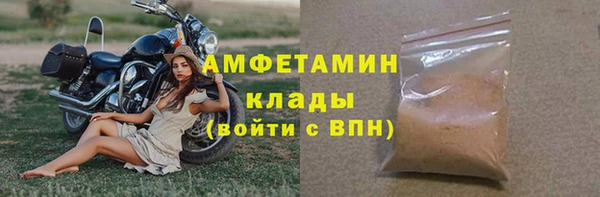 индика Киреевск