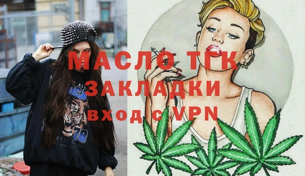 индика Киреевск