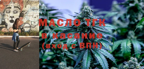 индика Киреевск