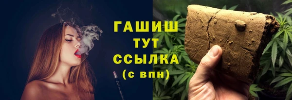 индика Киреевск