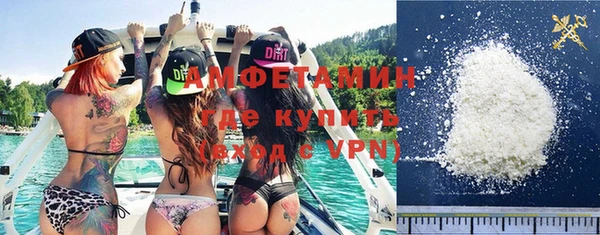 индика Киреевск