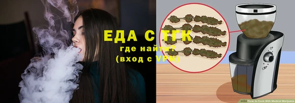 индика Киреевск