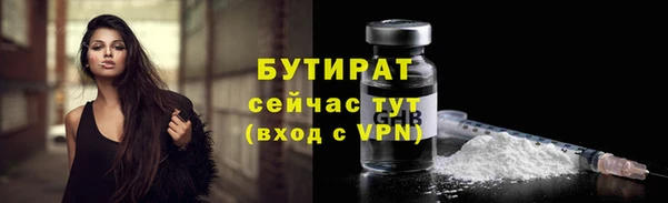 индика Киреевск
