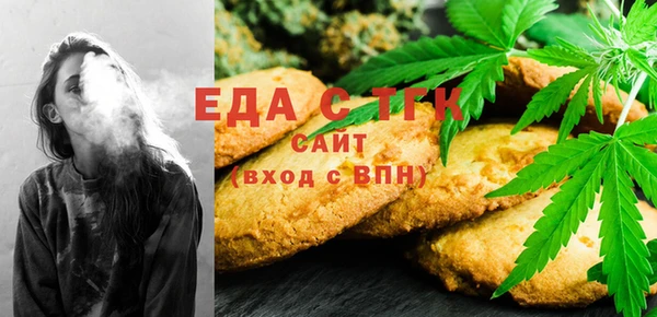 индика Киреевск