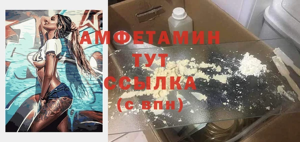 индика Киреевск