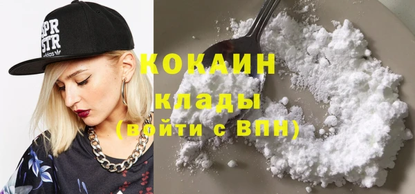 индика Киреевск