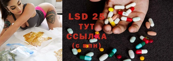индика Киреевск