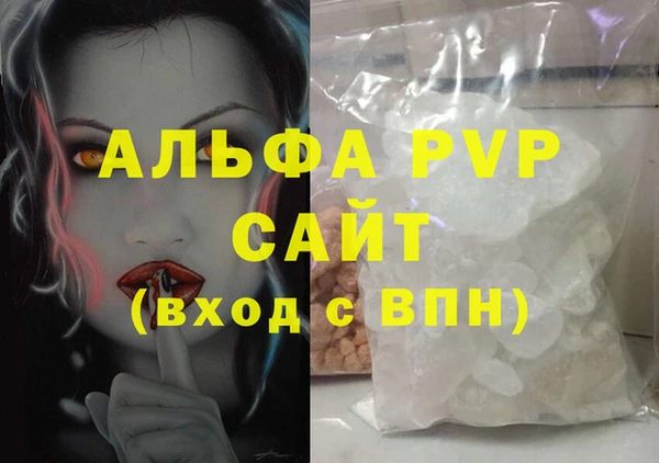 индика Киреевск