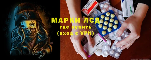 индика Киреевск
