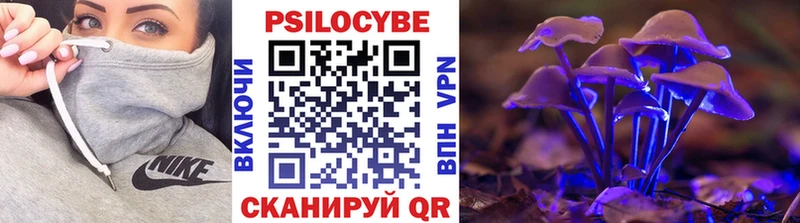 Галлюциногенные грибы Magic Shrooms  Купить где  Жердевка 